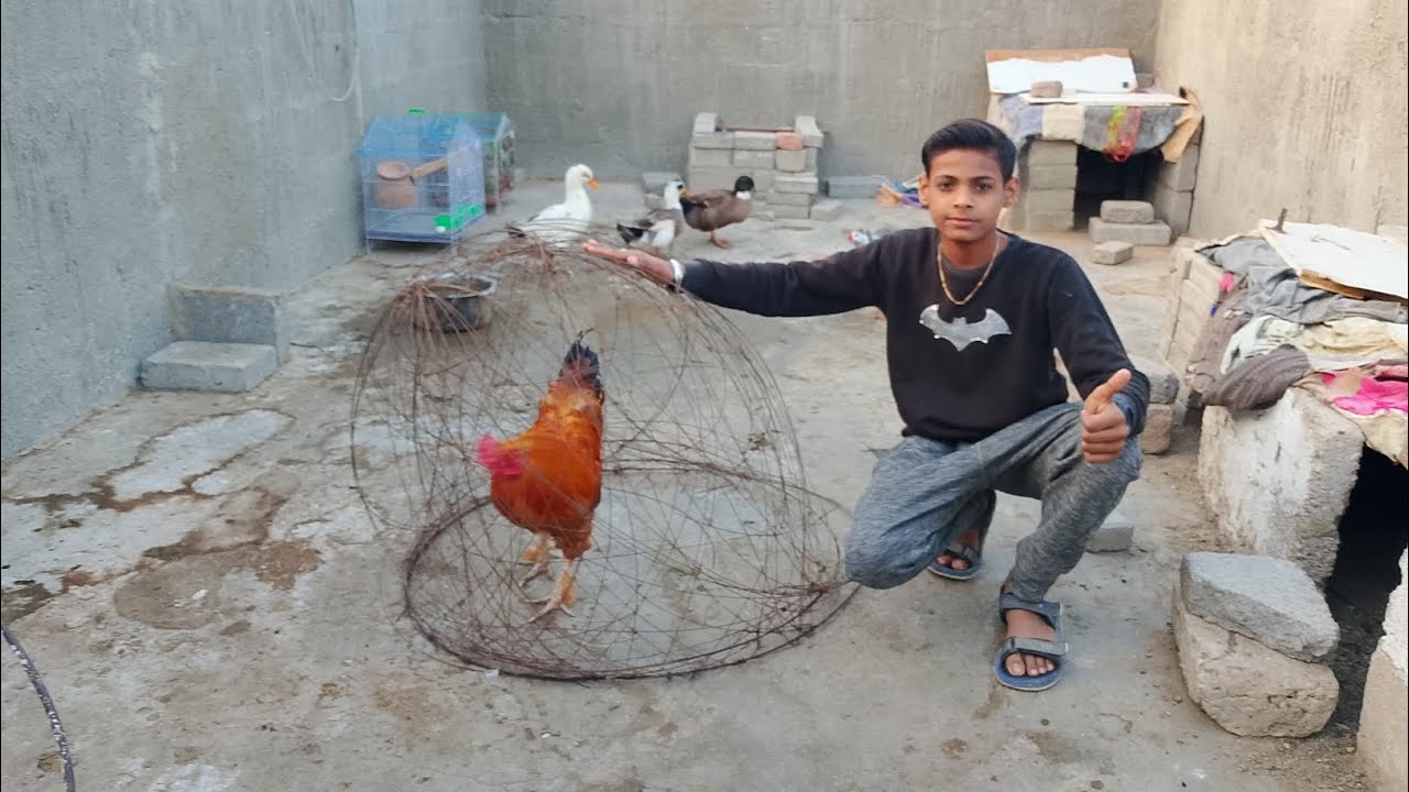 Hamare Bina blue film 😜🕊️🦜