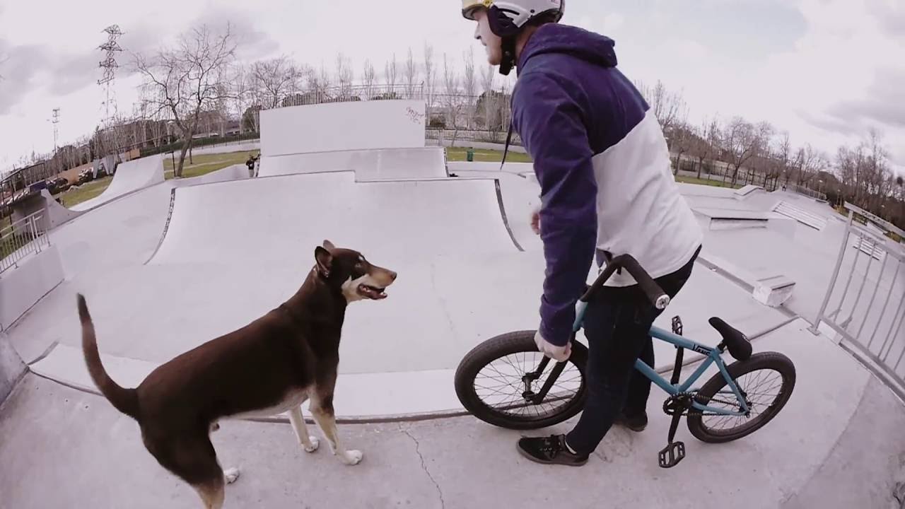 BMX: Sergio Layos surfing that MINIRAMP!