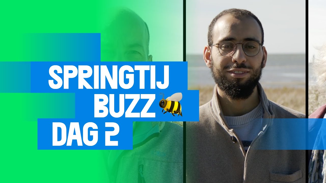 Springtij Buzz – dag 2