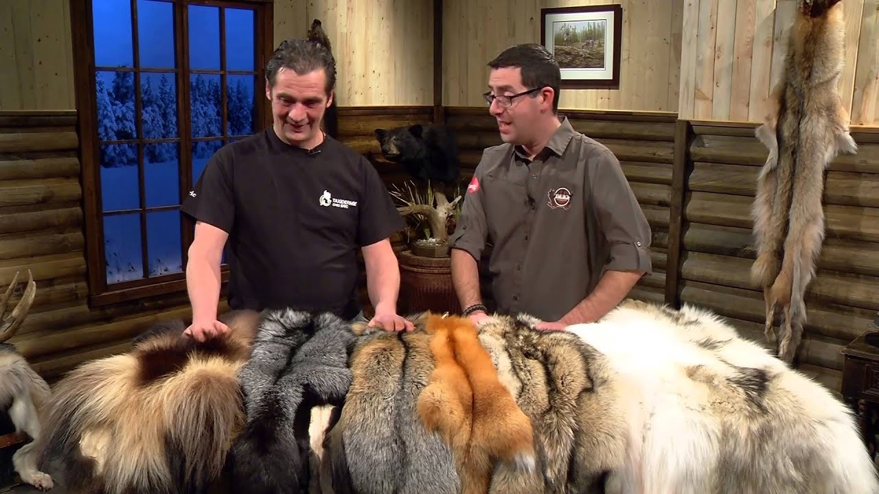 Les fourrures de Taxidermie chez Éric