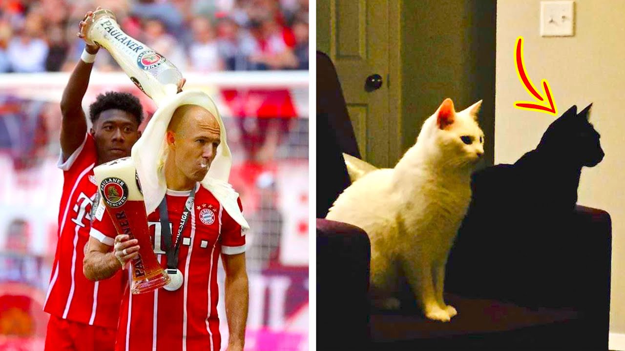 Confusing Photos That Will Make You Look Twice