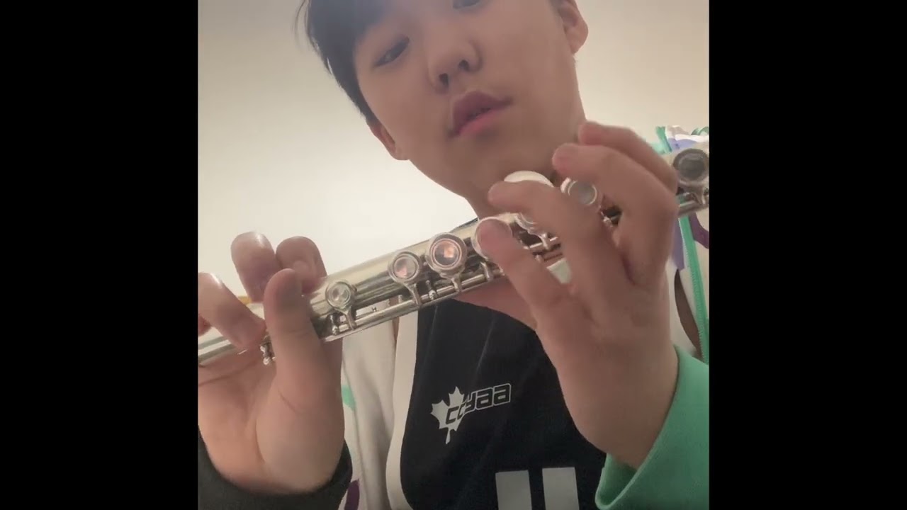Flute Tutorial (only for certain parts of the flute)