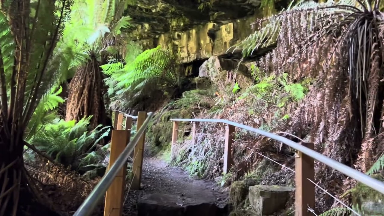 Bindaree Falls - Victoria High Country