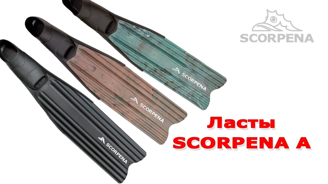 Ласты Scorpena A: бюджетная модель для подводных охотников