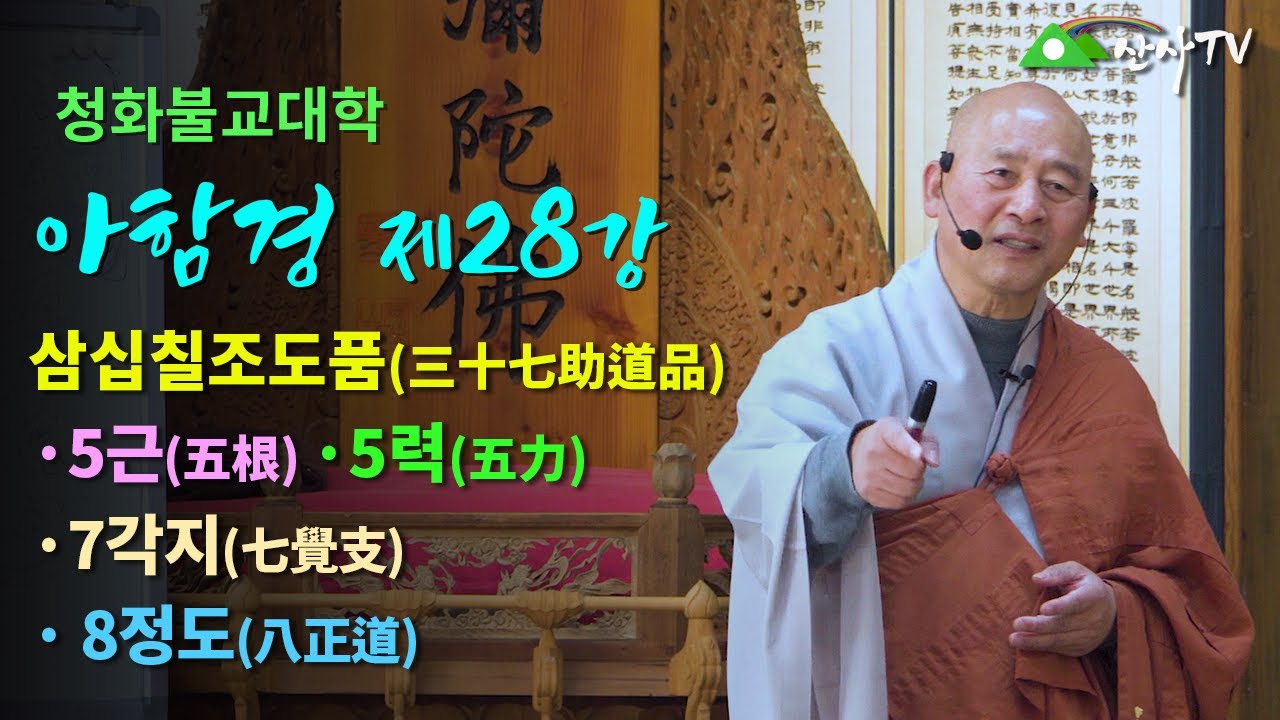 불교대학/대주스님/아함경 제28강/삼십칠조도품(三十七助道品)/5근(五根)/5력(五力)/7각지(七覺支)/8정도(八正道)