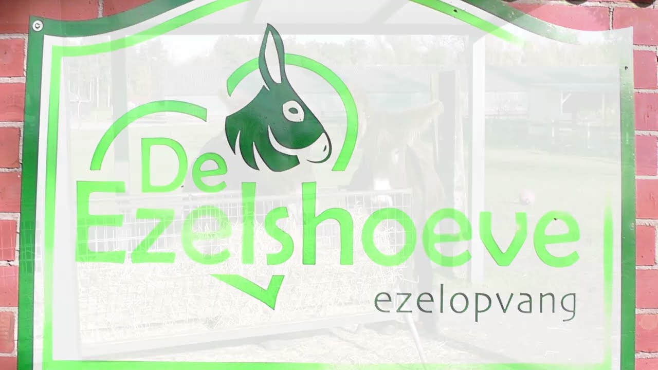 Ezelshoeve  Baarle-Nassau.