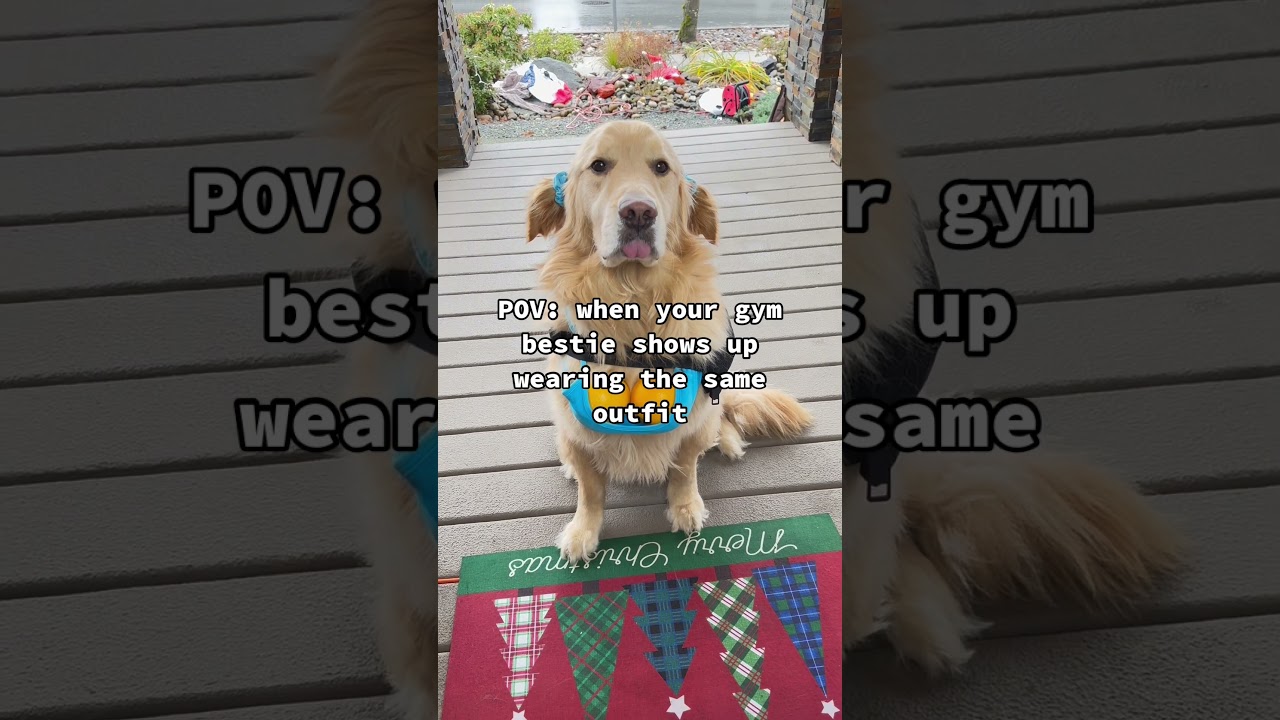 Who wants to be my next gym date? 