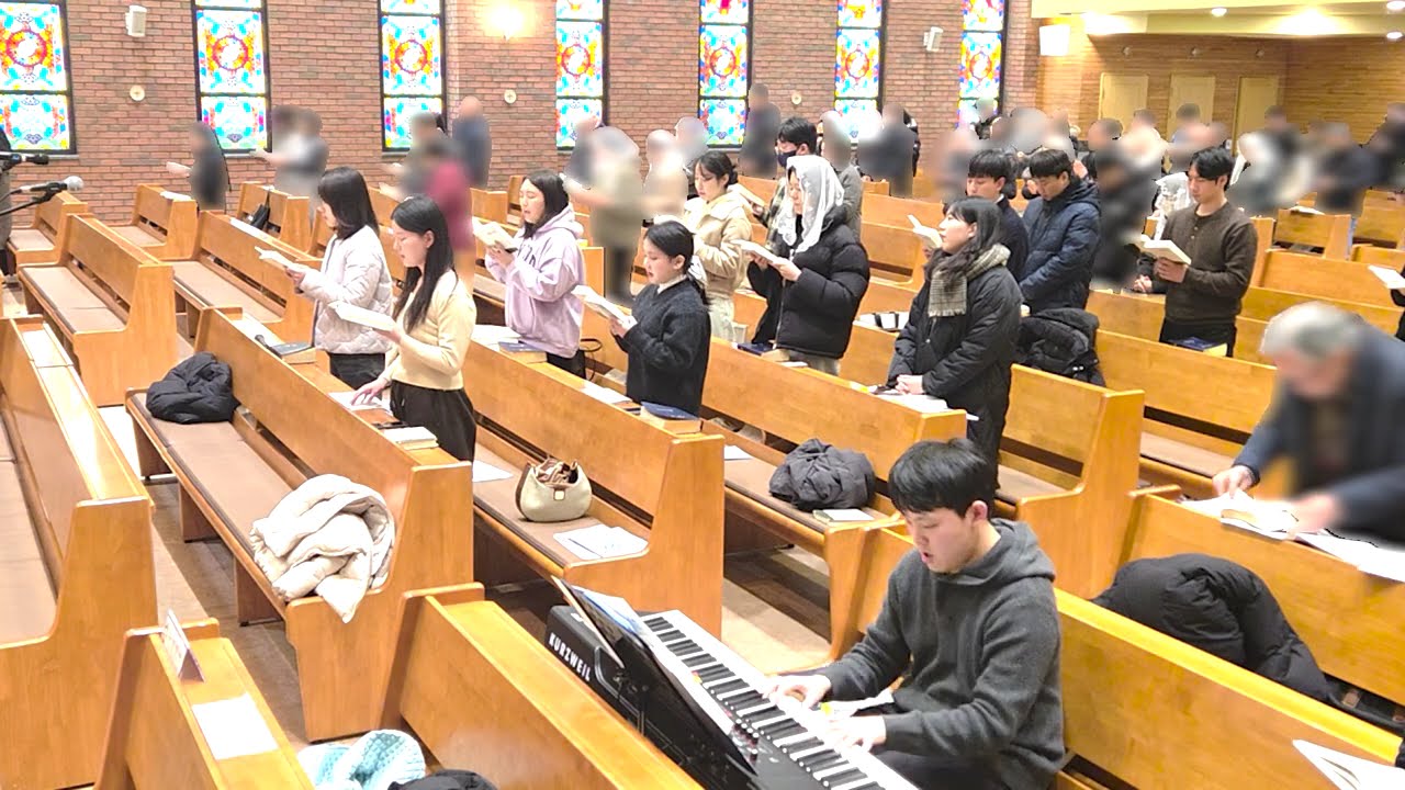 야훼이레 814. 주 찬양합니다 | 2026년 연중 제5주일 보라동성당 청년미사 입당성가 #청년회 #성가 #가톨릭 #미사 #주찬양합니다