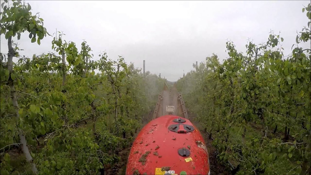 Pflanzenschutz im Frühjahr / Schorfbekämpfung - Obstbau Schmidt