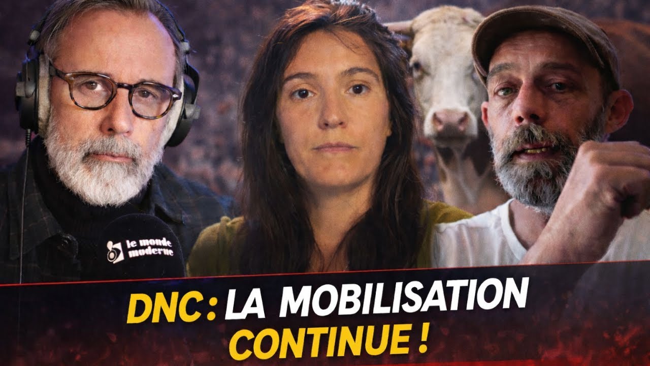 Vaccinations de troupeaux : la mobilisation continue