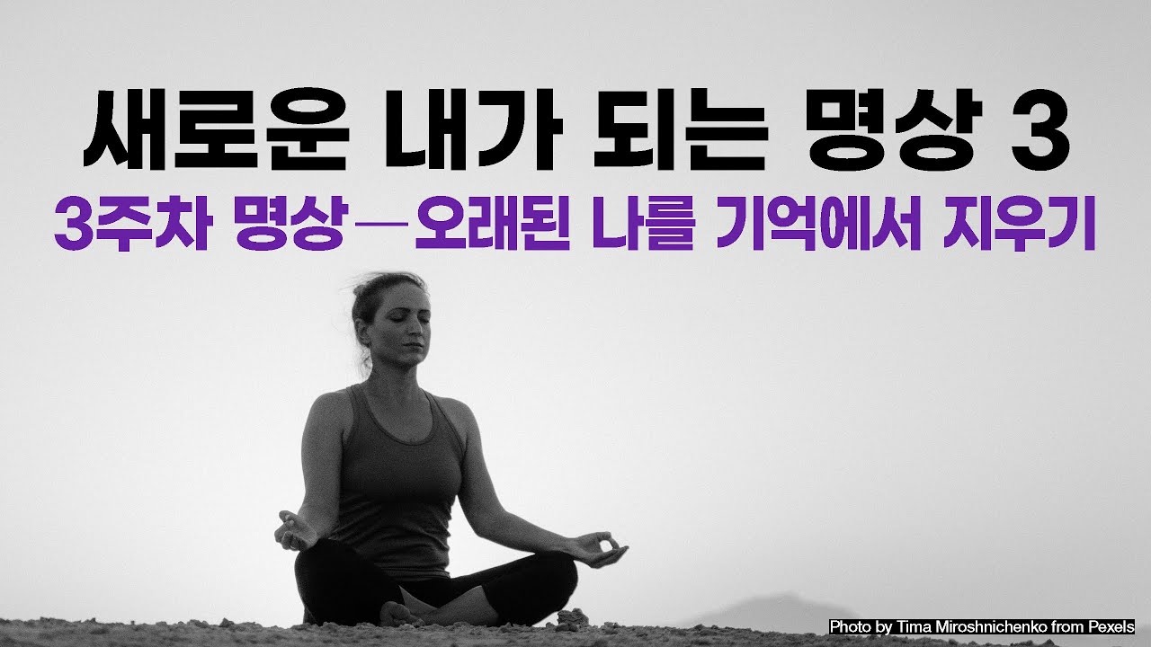 조 디스펜자의 