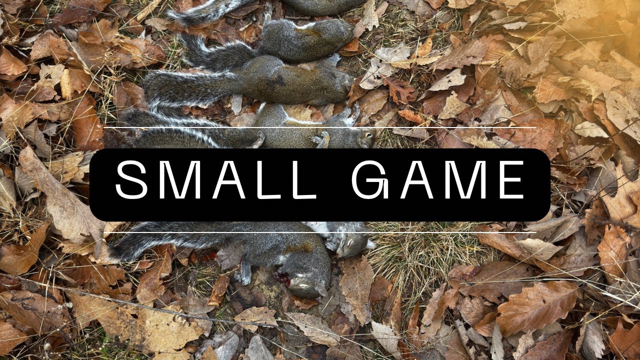 The Hunting Season Most People Get Wrong