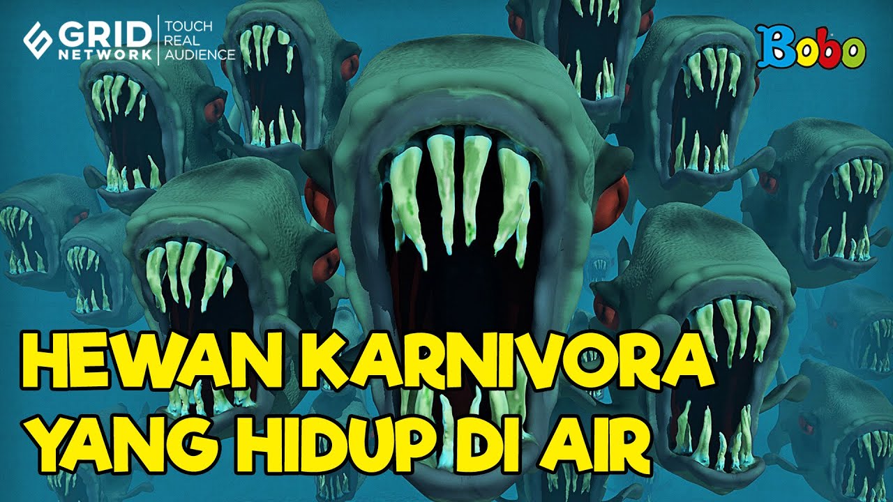 Fakta Menarik - Jenis-Jenis Hewan Karnivora yang Hidup di Air