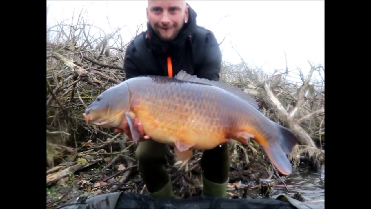 Karpfenangeln im Winter Teil 1 (Carp,Carphunting,Angeln,Karpfen, Karpfenangeln, Hidden Visitors )