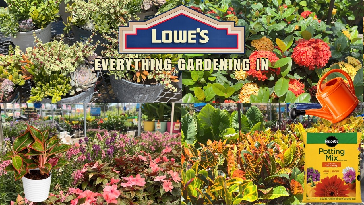 Houseplant Shopping at Lowe's Garden Center USA