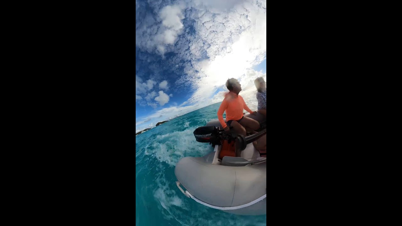 Snorkle Shorts - 2026 Grenadines