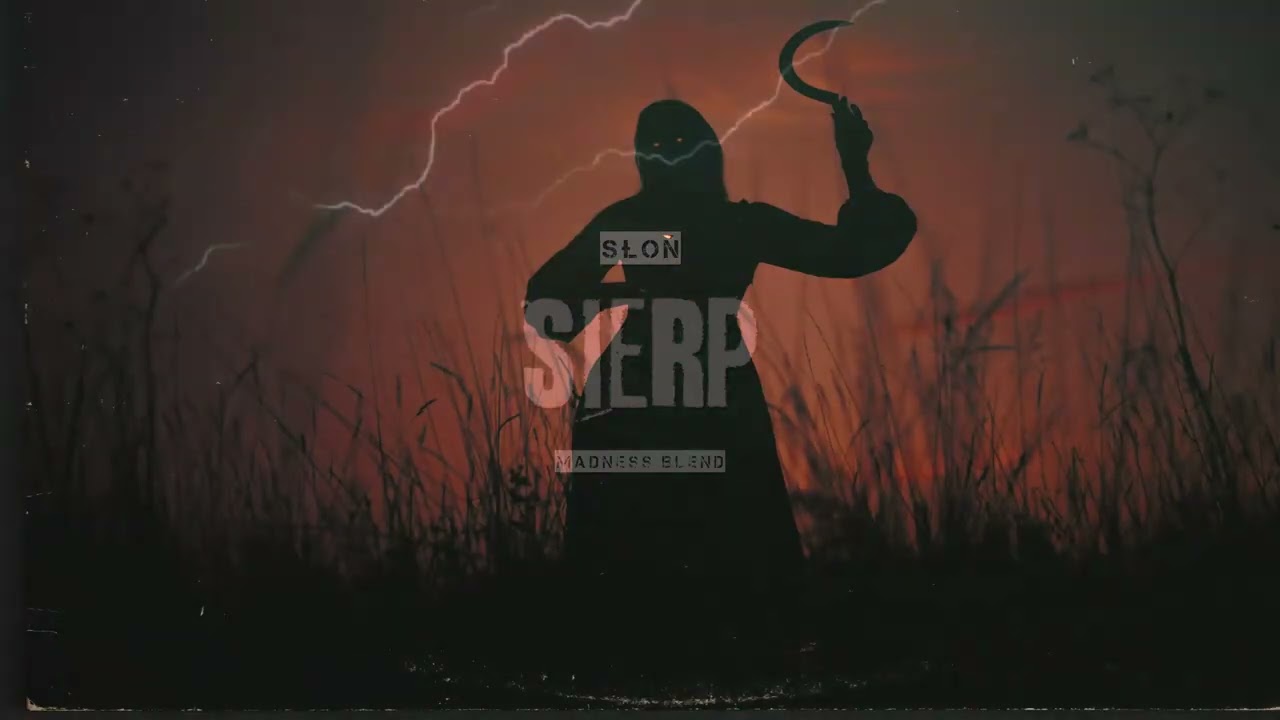 Słoń - SIERP | Madness Blend