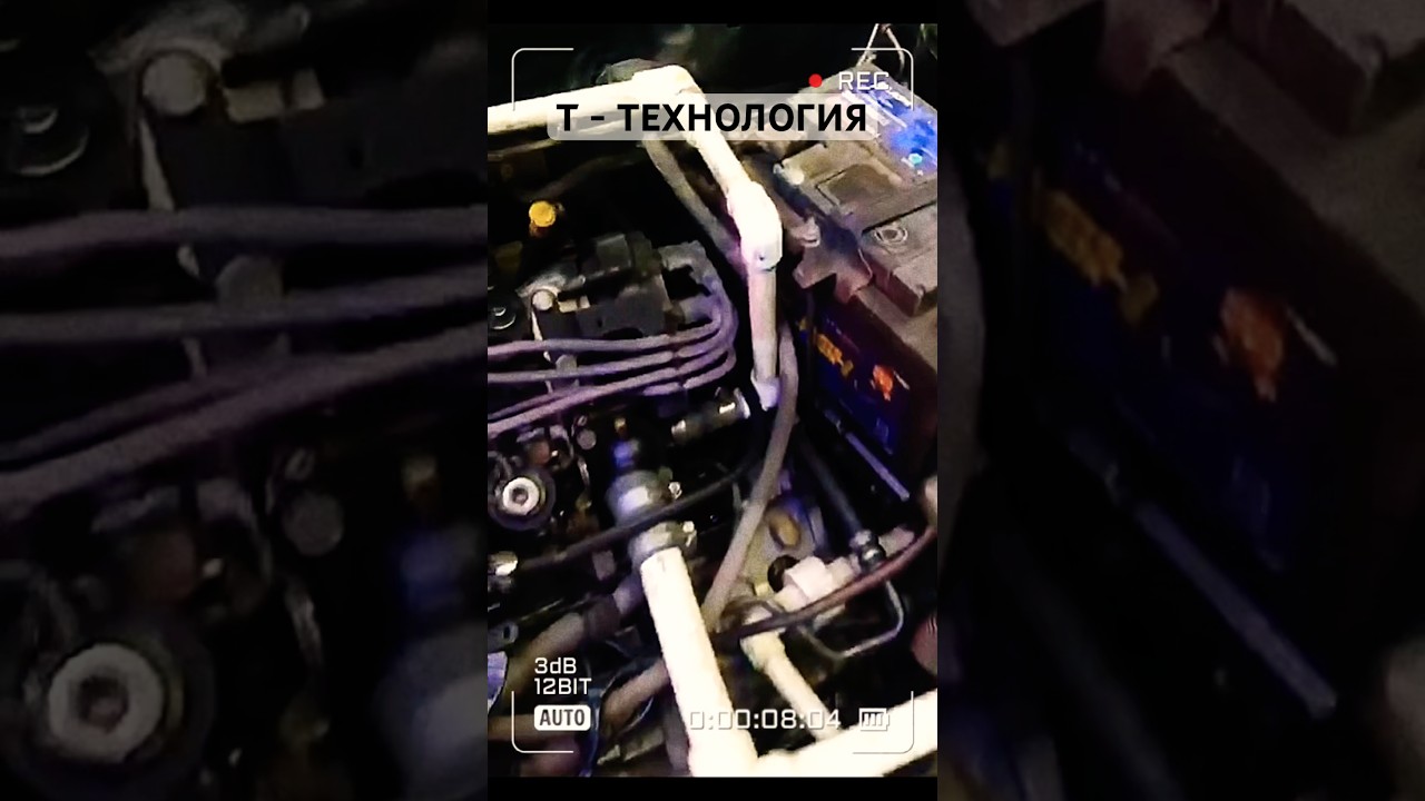 Это что-то новое ..🫣 