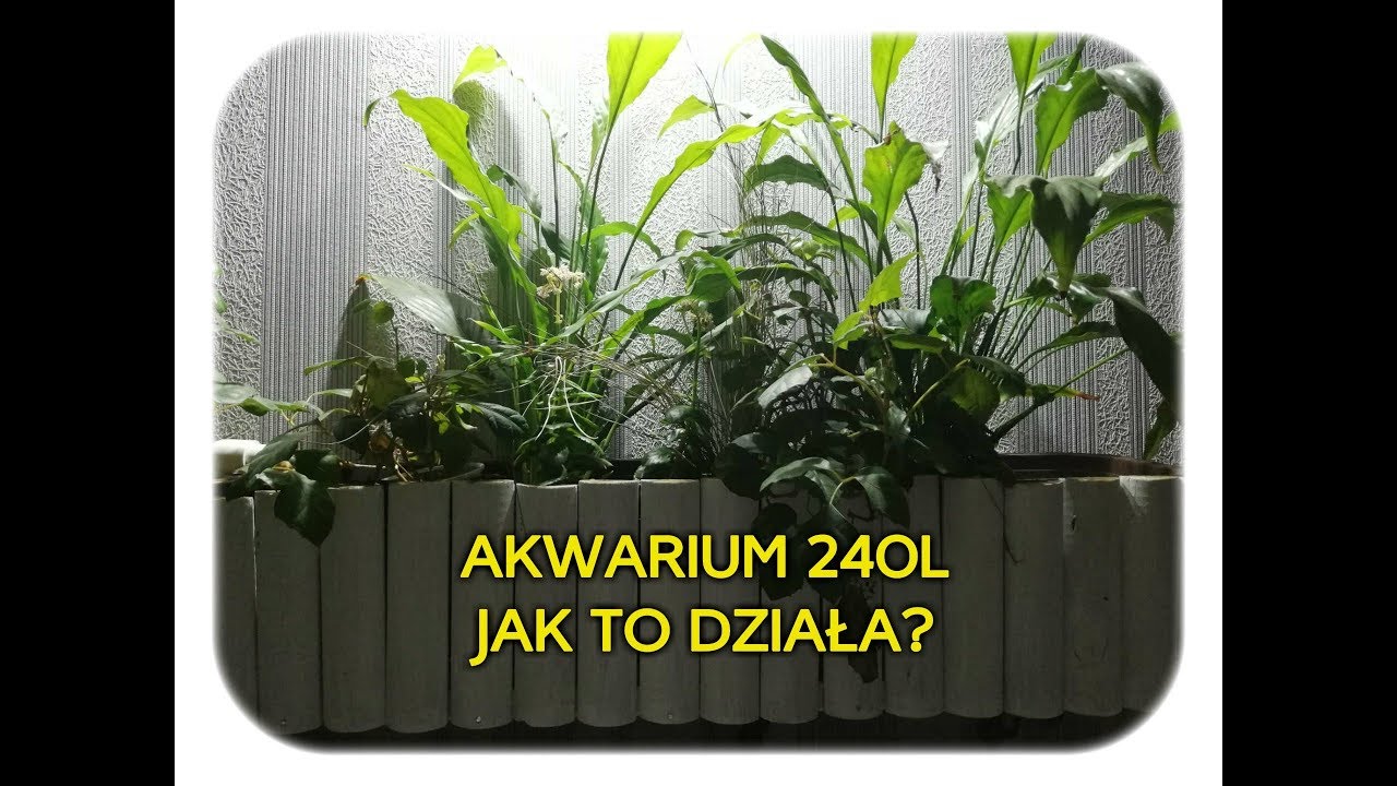 46. Akwarium 240l - oświetlenie i filtracja