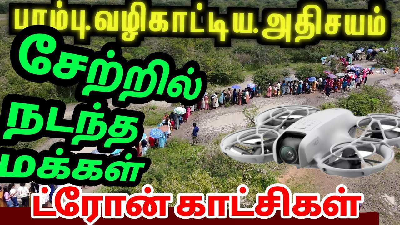 🔴 சிப்பியாறு  காட்டில் திரண்ட மக்கள் ட்ரோன் மூலம் எடுக்கப்பட்ட காட்சி 