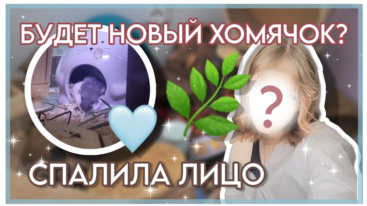 НОВОСТИ || НОВЫЙ ХОМЯК? 🐹 || Разбор Мебели Хомяков 🌱  || ПОКАЗАЛА ЛИЦО 🙋‍♀️