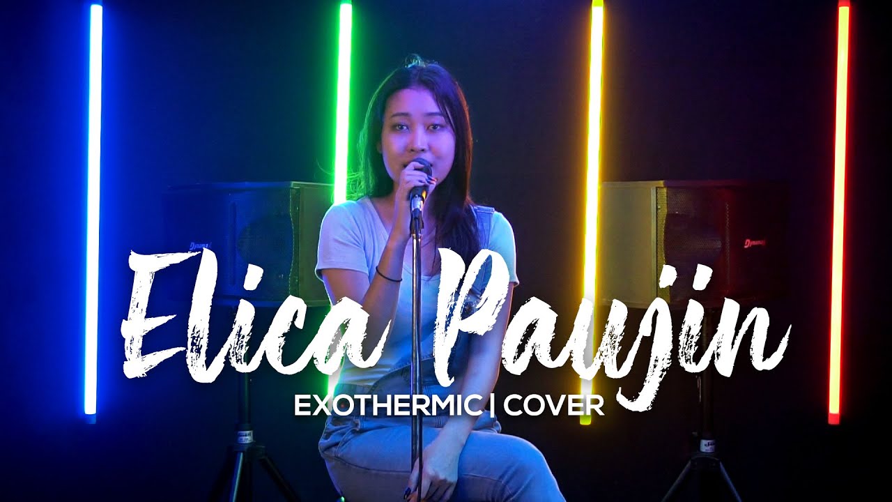 Elica Paujin - Exothermic ( cover )