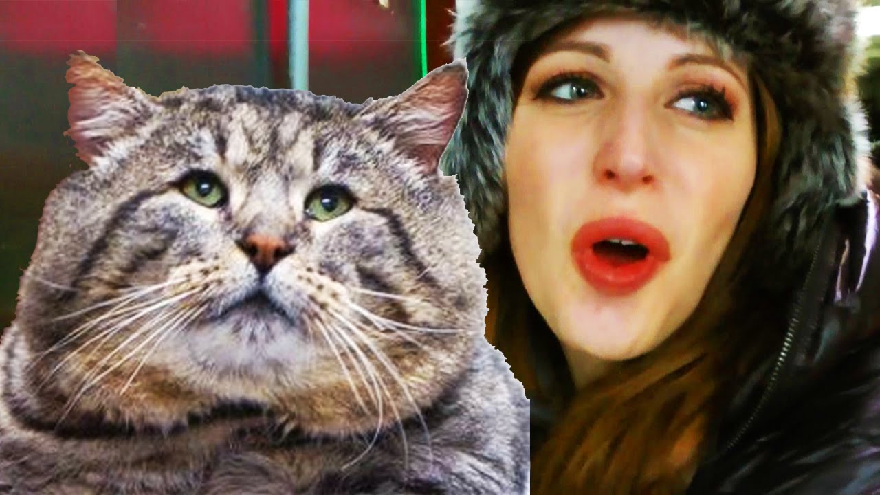GROSSO GATTO A CHINATOWN (E LOWER EAST SIDE) VLOG