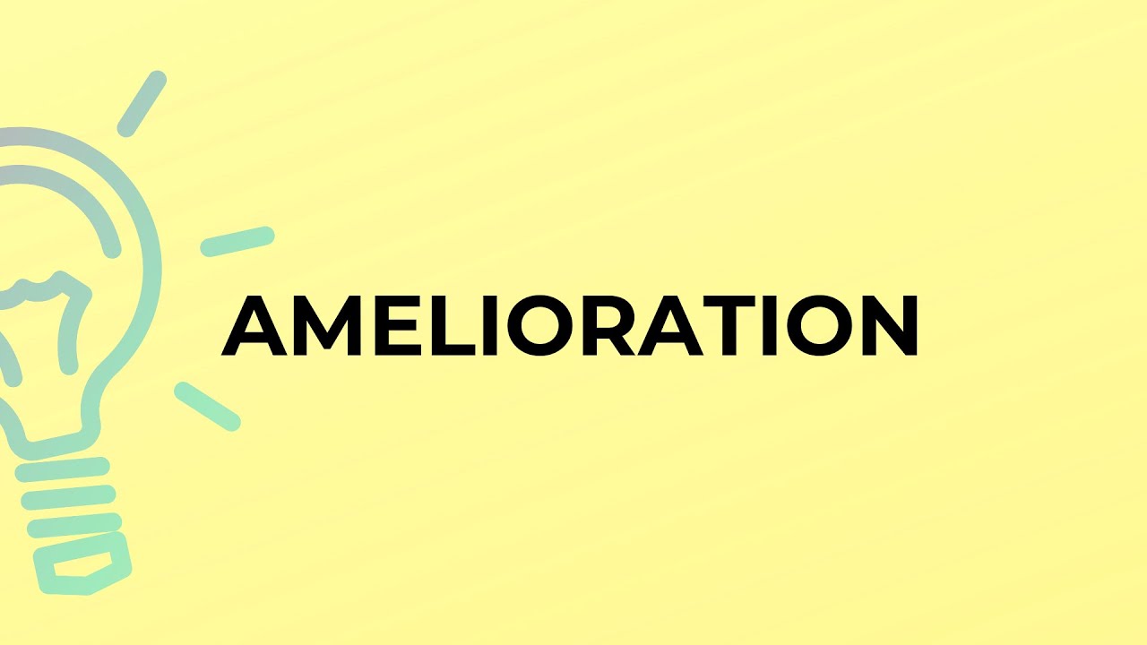What is the meaning of the word AMELIORATION?
