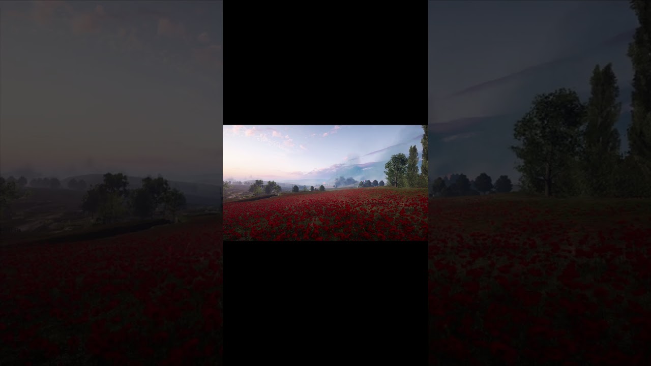Rupture - Battlefield 1 | Ambient Sounds | Artillery & Calming Atmosphere | 