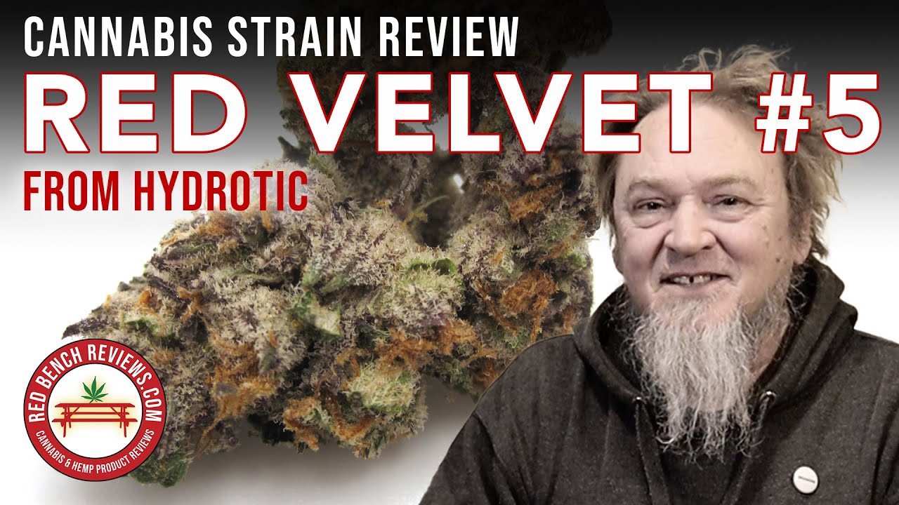 Обзор сорта Red Velvet #5 &ndash; Hydrotic Brand