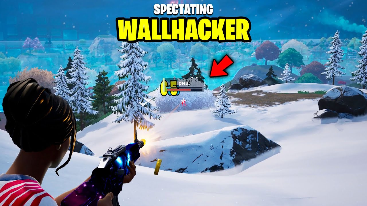 I FOUND The SMARTEST HACKER in Fortnite! (Wallhacks)