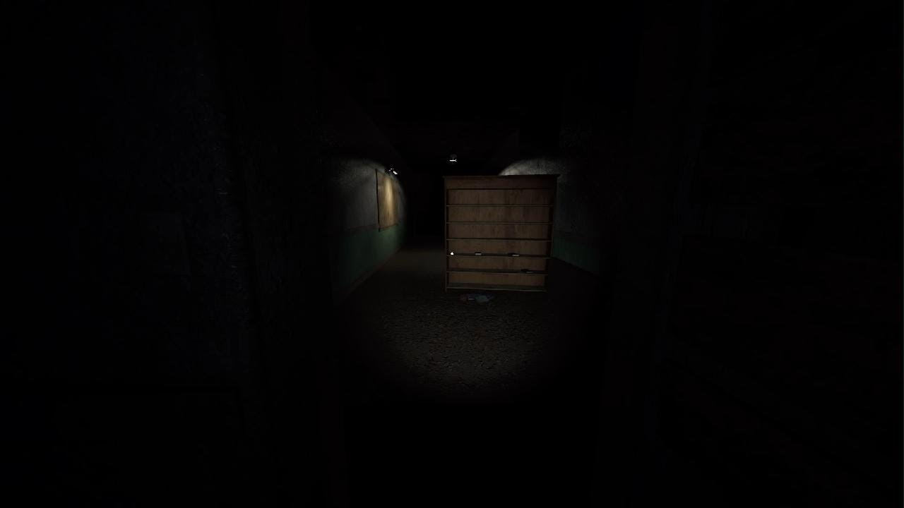 Phasmophobia - Duo Takes On Haunted Asylum