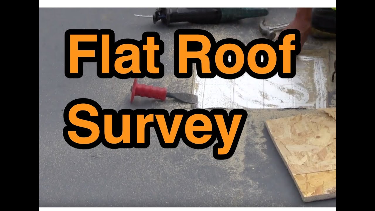 Flat Roof Survey on new warm flat roof rear extension