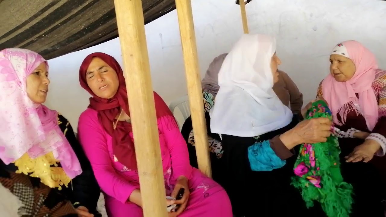 جوف الشهبة لا لفت في سية.. مباركة ربعية..