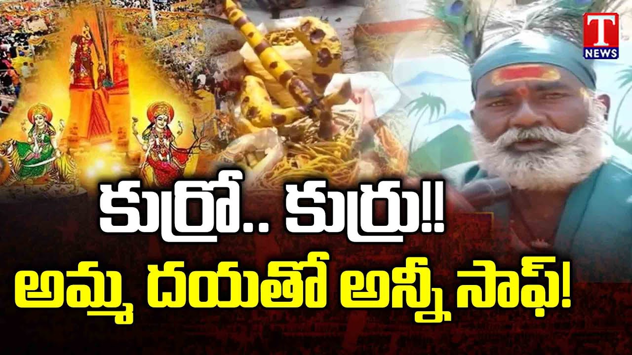 Koya Dora Offers Sacred Medicinal Herbs at Medaram Jathara 2024 | T News