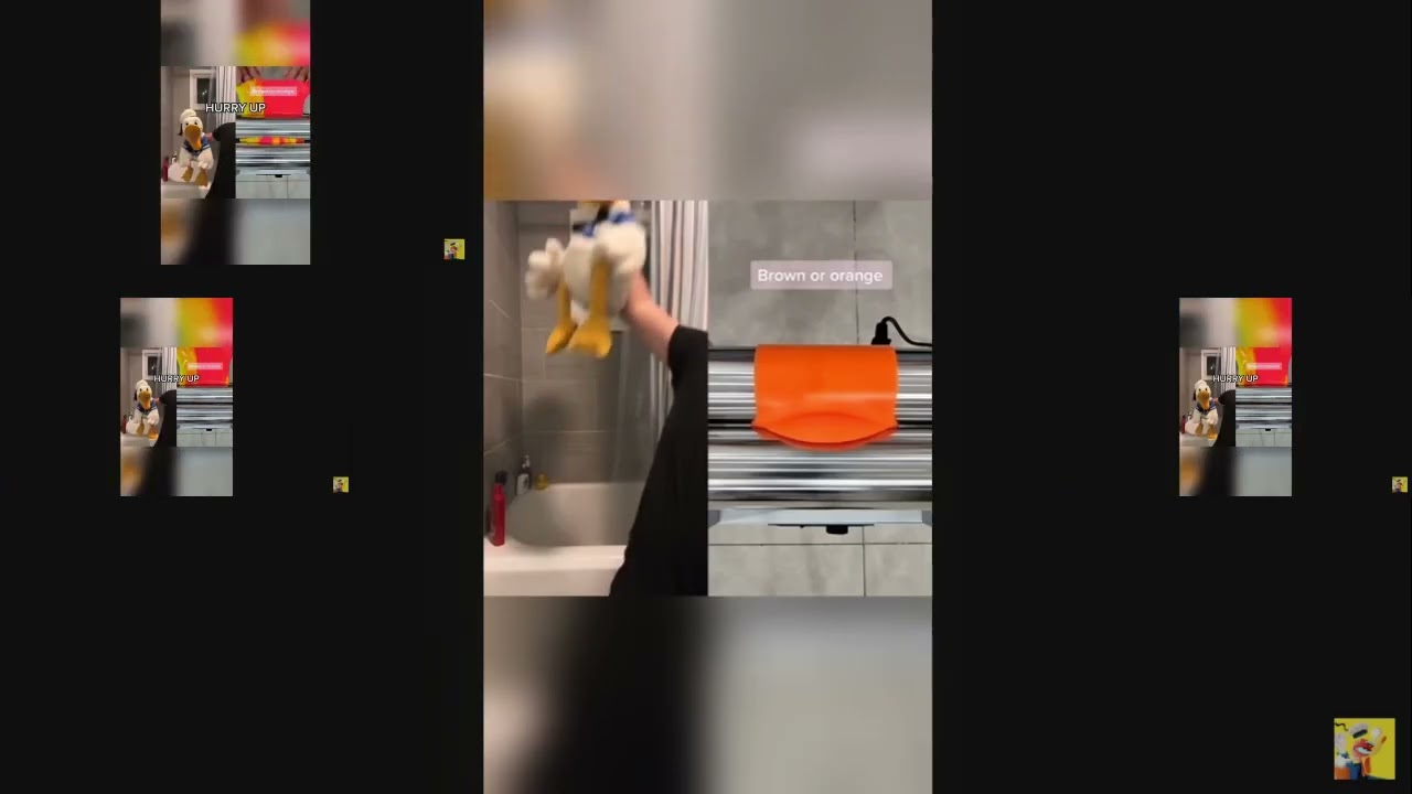 DonaldDucc is Dumb has a Sparta Gamma Remix