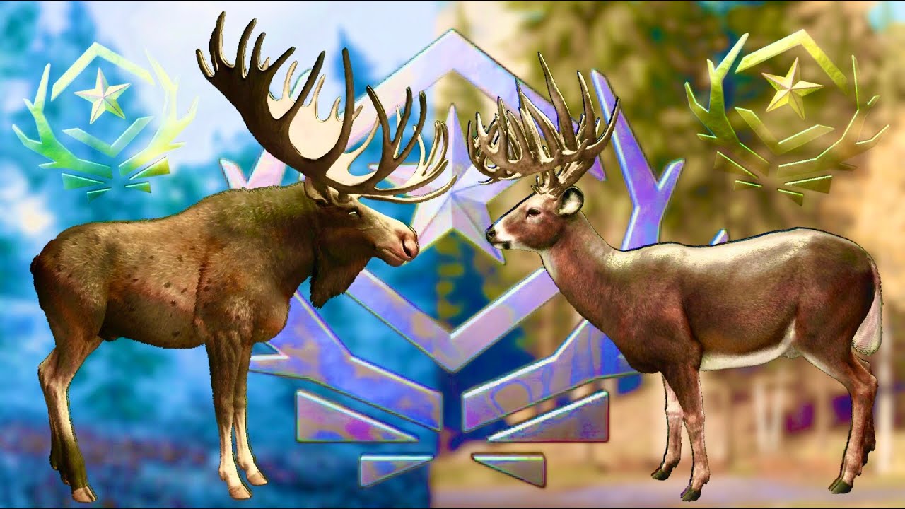 TWO GREAT ONES IN ONE NIGHT?! TAKING A GREAT ONE MOOSE & WHITETAIL WITH THE SAME 6.5 RIFLE!