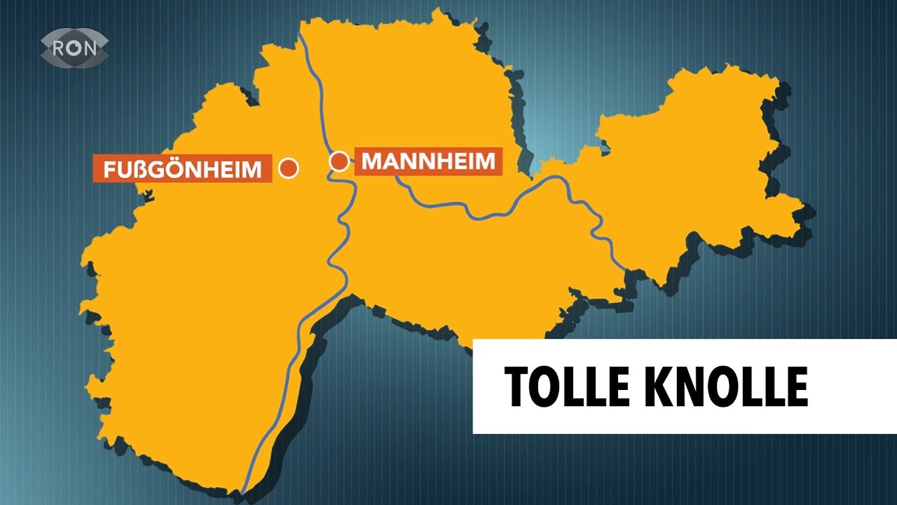 RON Tour in Fußgönheim | RON TV