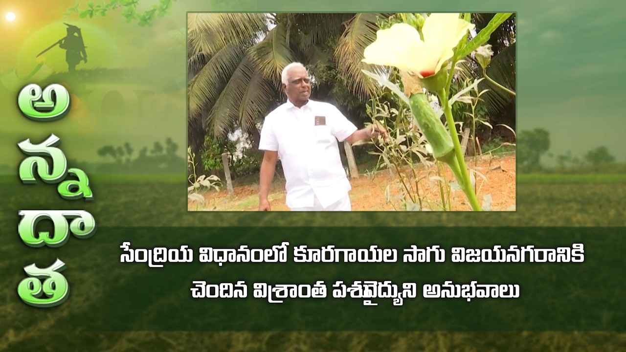 Organic farming and vegetables by retiredveterinarian@vizayanagaram | ETV