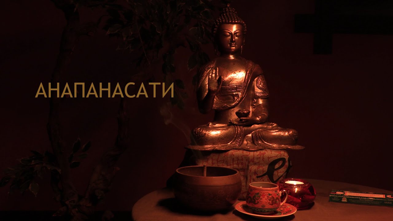 Анапанасати. Направленные медитации, часть 2 / Студия Бодхи
