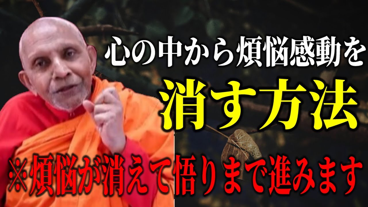 心の中から煩悩感動を消す方法『幻覚が事実だと思っている。それで輪廻転生するんだよと。これに終わりはないんだと。概念の世界に閉じ込められて生きているんです』【スマナサーラ長老切り抜き】