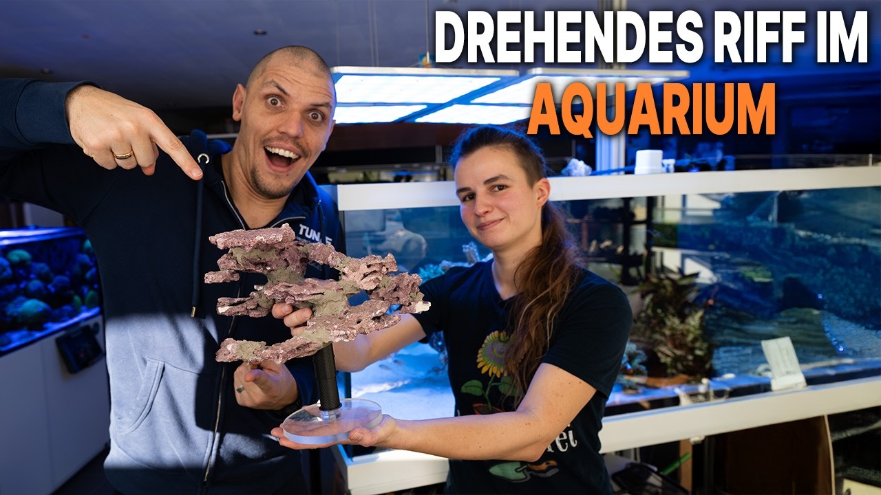 ERSTMALIG auf dem Markt?! Wir setzen Noras Idee für euch um!