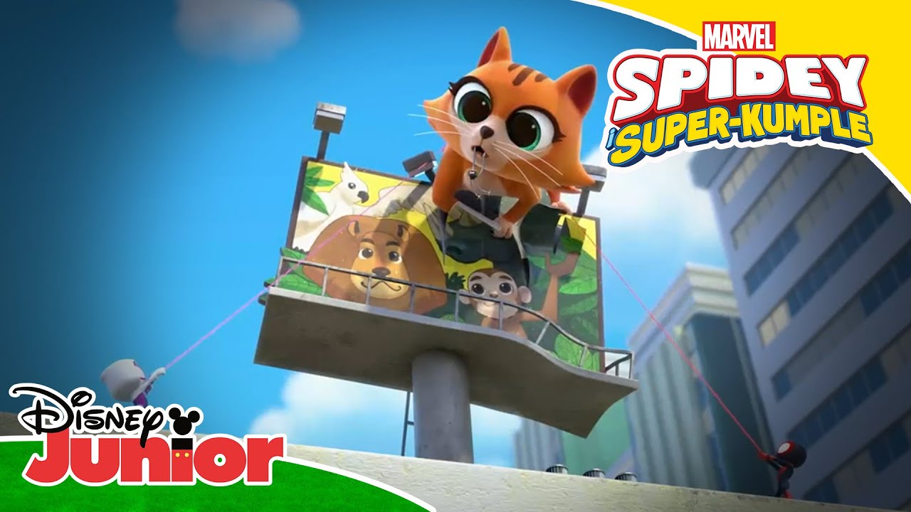 😺 Kulka nieco urosła | Spidey i Super-Kumple | Disney Junior Polska