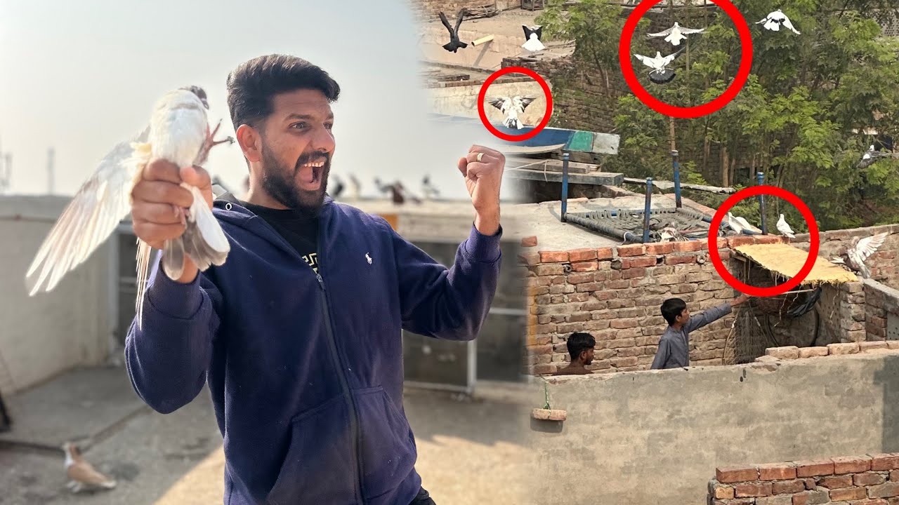 Aaj bachon Kay 2 kabutaron ko utar liya or ya Kia hua 😳😱