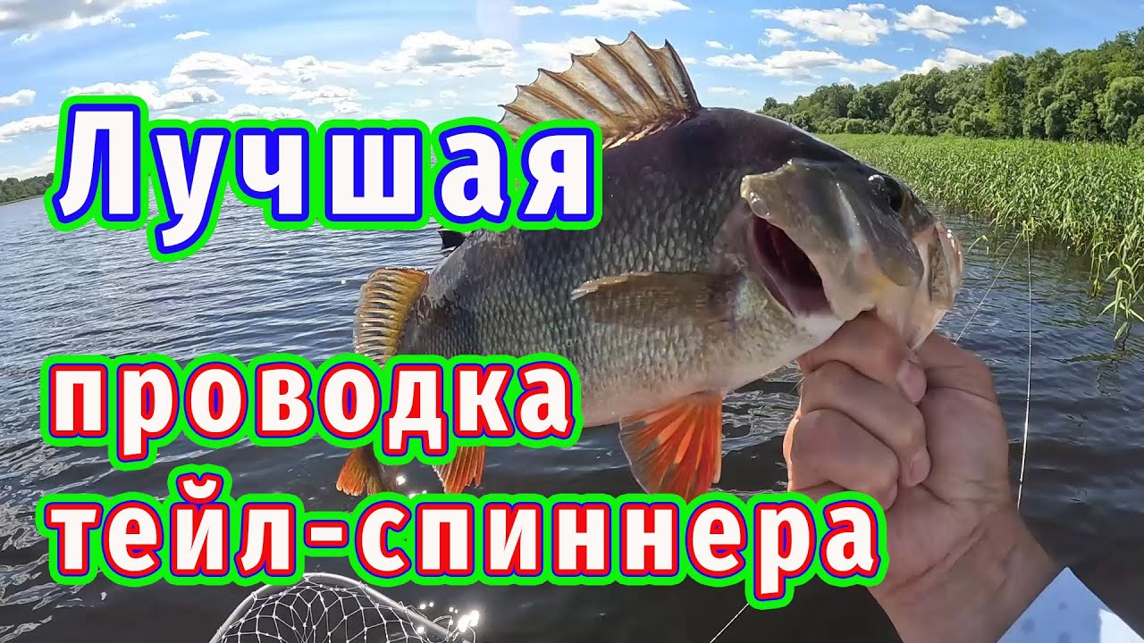 Рыбалка вдоль травы на тейл-спиннер! Вы удивитесь как ведёт себя рыба!