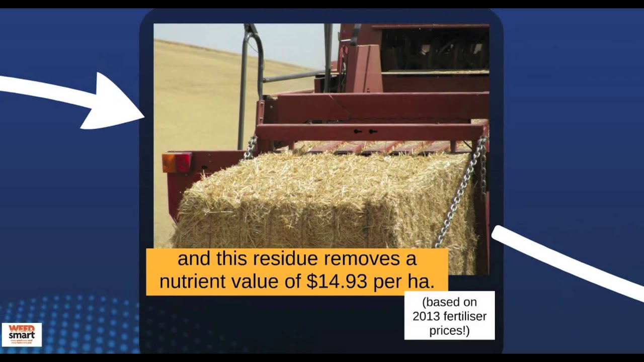 Bale Direct Nutrient Implications