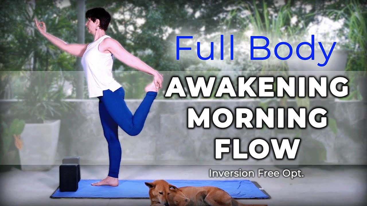 Awakening Morning Flow in 25 min//Full Body//Inversion Free Yoga