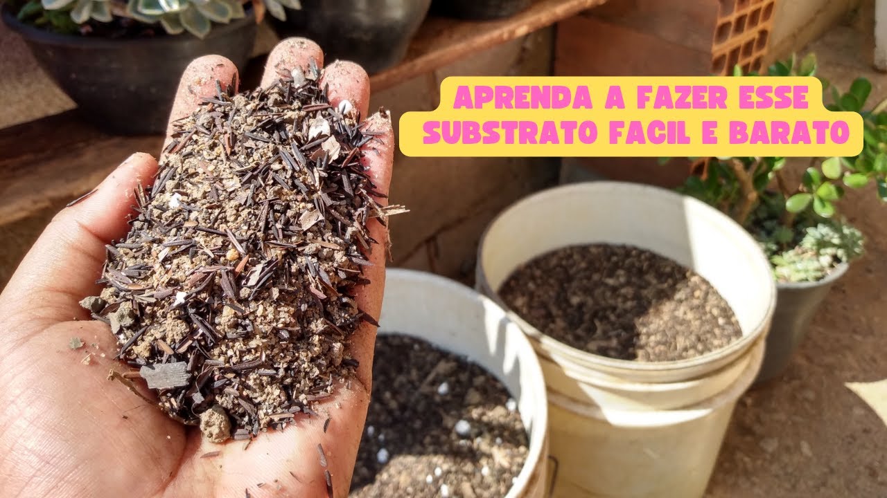 RECEITA DO MEU SUBSTRATO FÁCIL E BARATO PARA SUCULENTAS E PLANTAS /FIZ DOIS BALDES