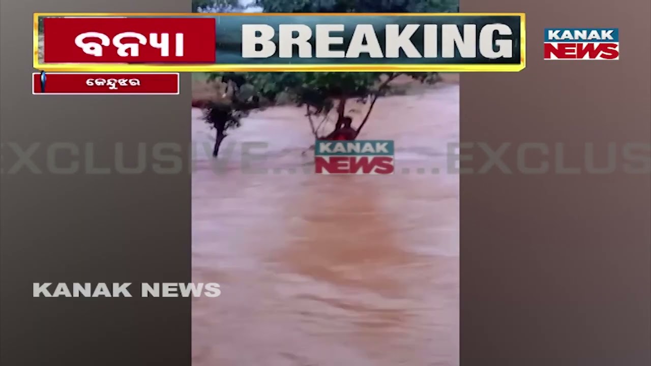 Keonjhar Tragedy | Two Youths Swept Away, Suspected Stranded on Tree | Odisha Flood