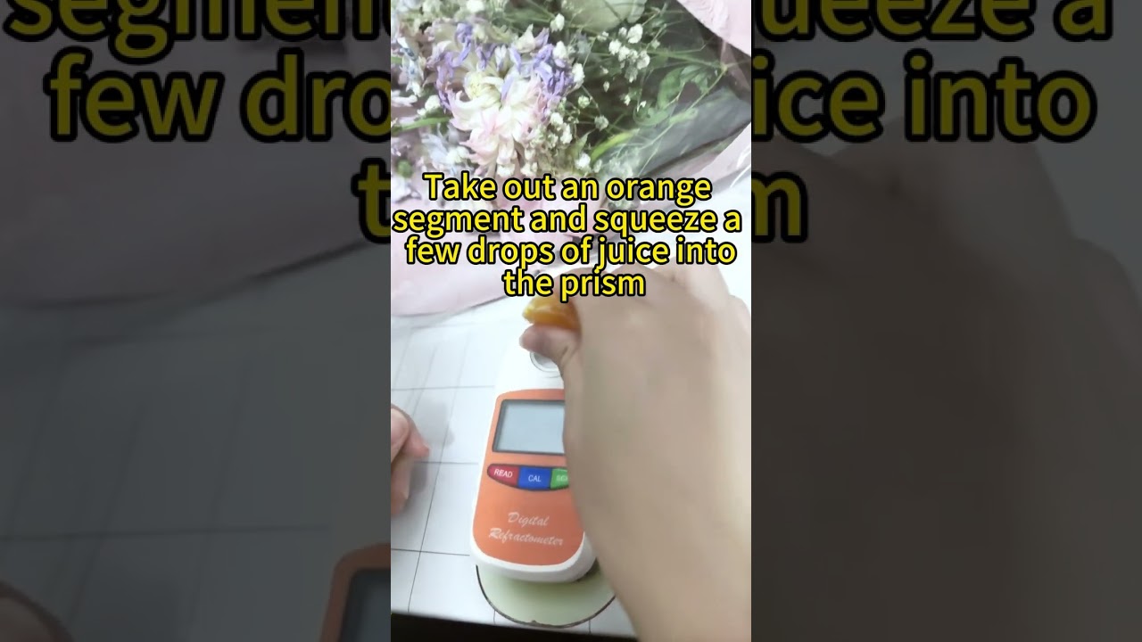 How high is Sugar Orange&rsquo;s brix?